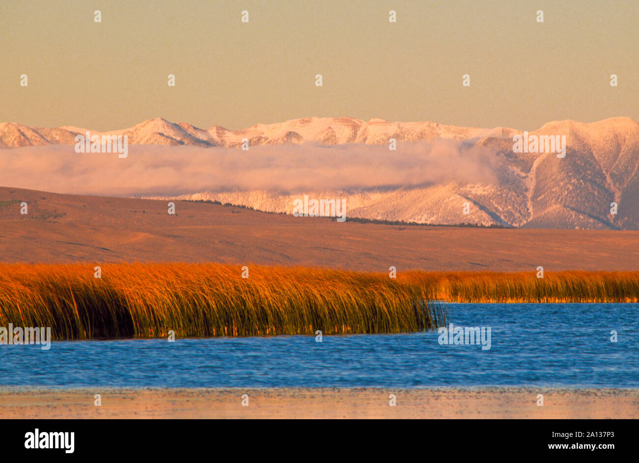 Abaisser le red rock lake et Madison range près de Lakeview, Montana Banque D'Images