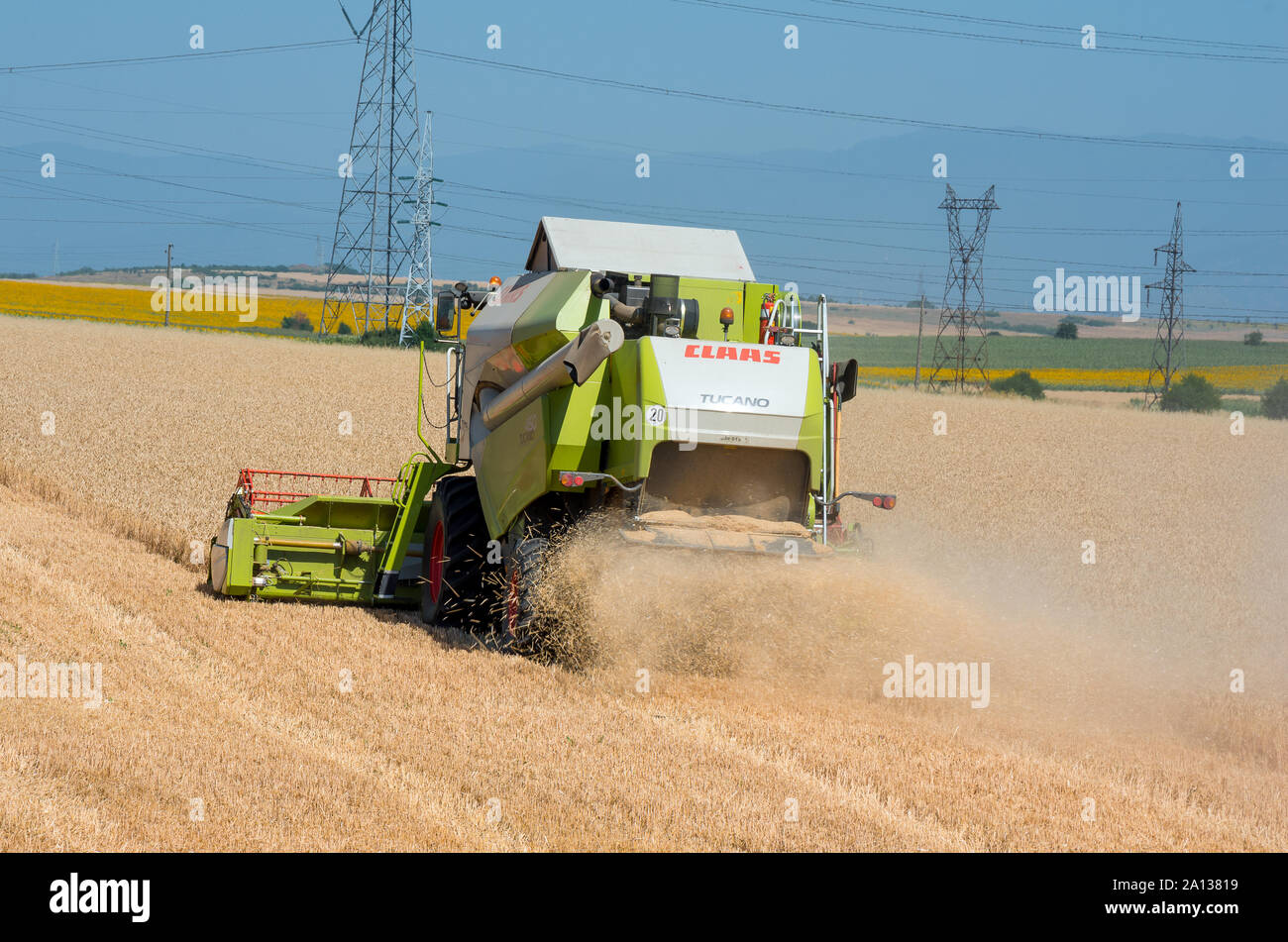 Machine de récolte récolteuse de champ de blé. La récolte du blé de travail sur le terrain. Banque D'Images