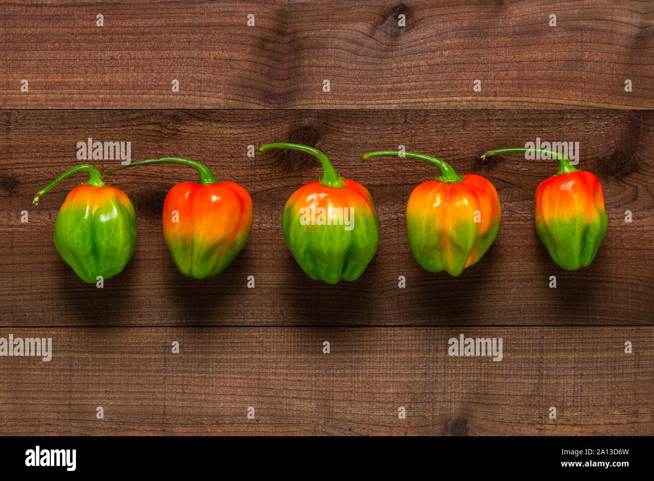 5 poivrons colorés habañero vu du dessus sur planches en bois texturé Banque D'Images