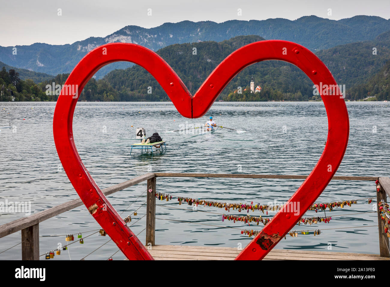 Compétition d'aviron dans le lac de Bled, Slovénie Banque D'Images