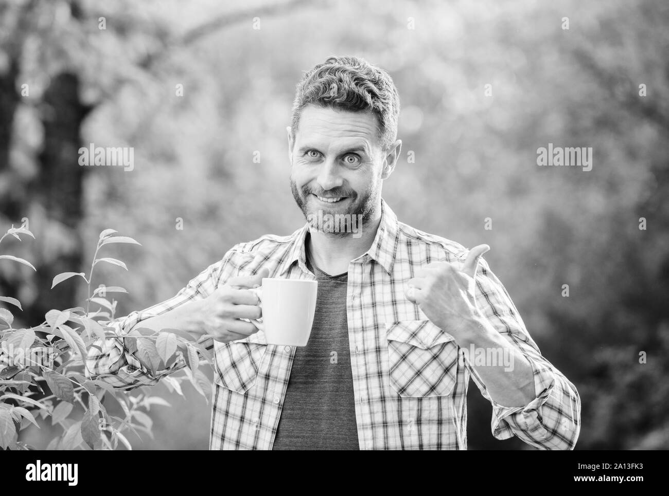 Mode de vie sain. Je préfère le thé vert. Boisson rafraîchissante. Plateau barbu homme agriculteur tenir mug fond nature. Plantation de thé vert. Toute la feuille de thé. Agréable moment d'autotraitement. Boisson naturelle. Banque D'Images