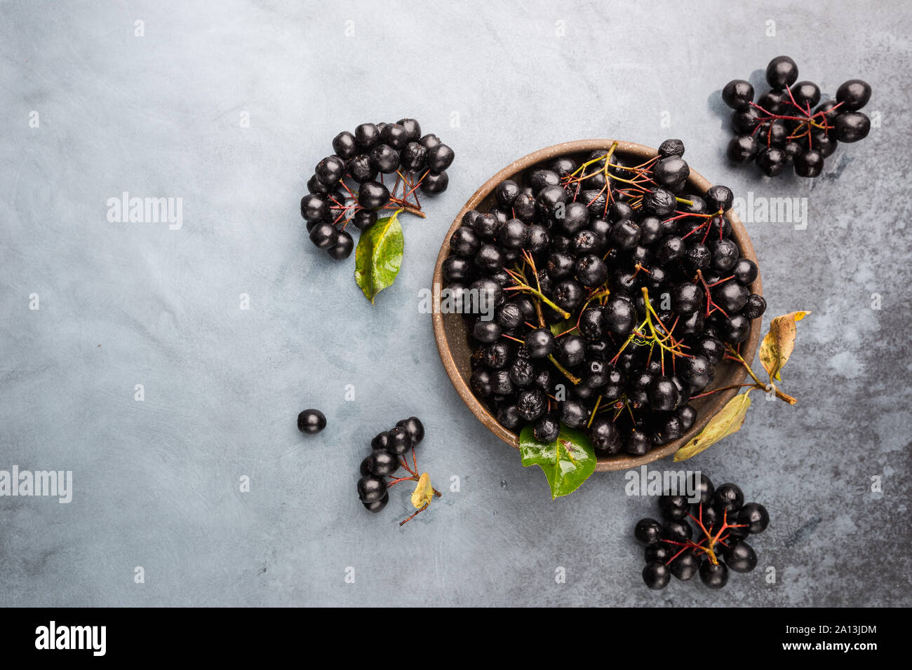 Bol avec les fruits fraîchement cueillis aronia. Aronia, communément connu sous le nom de l'aronie, avec feuilles, vue du dessus Banque D'Images