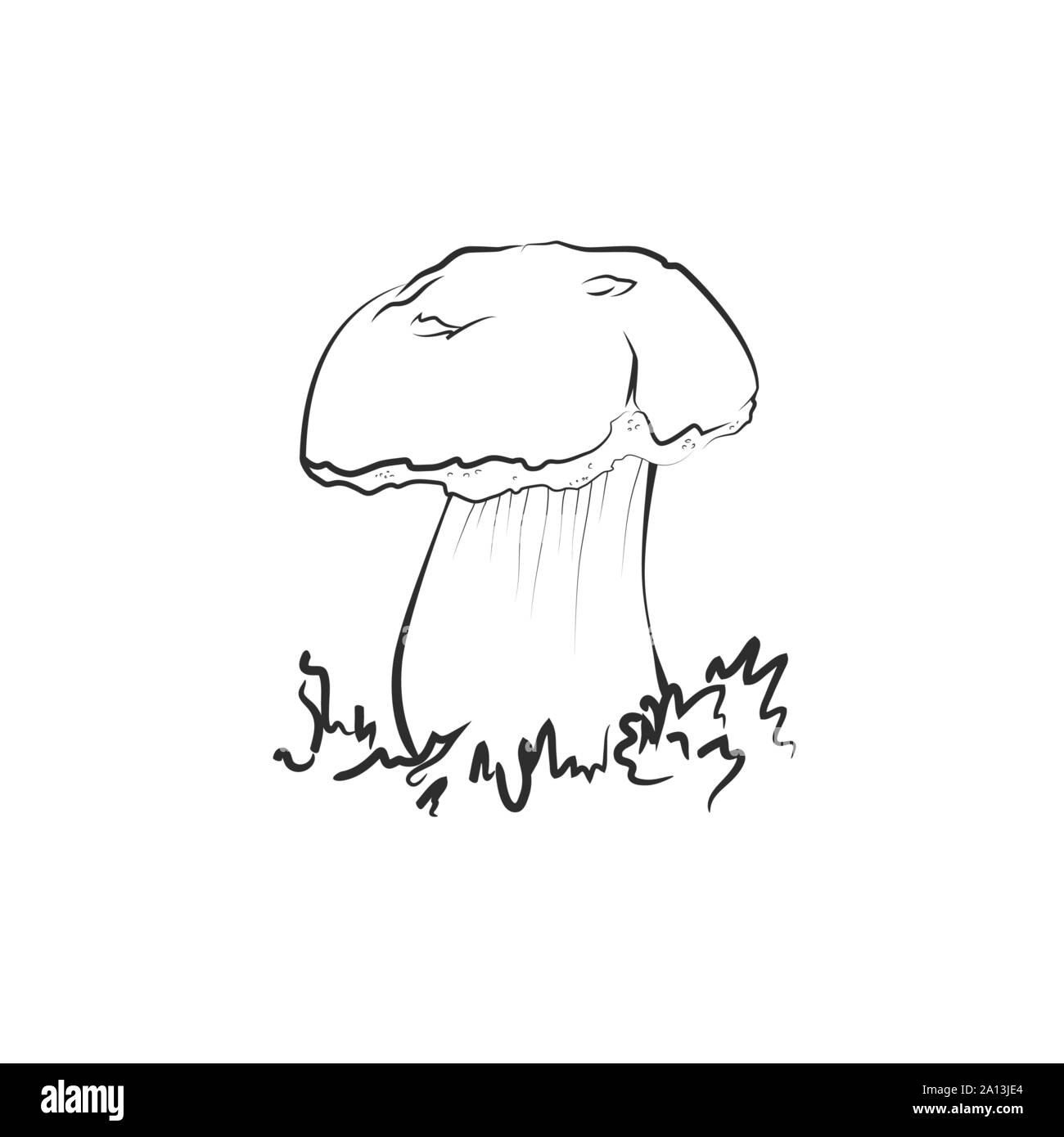 Illustration de champignons, vecteur. Suillellus, cèpes, champignons de graissage dimensions Illustration de Vecteur
