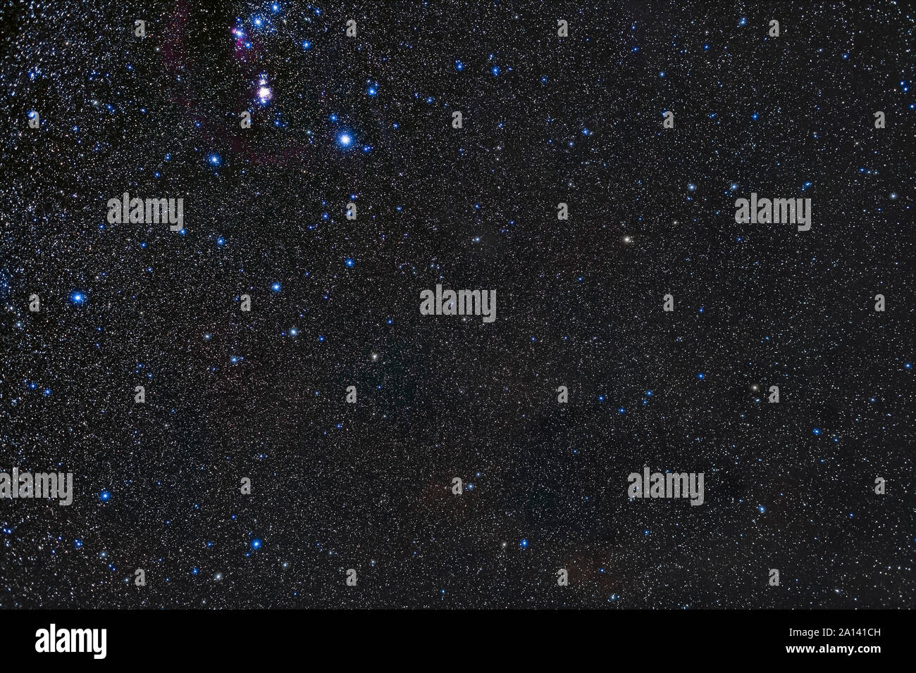 La partie nord de la constellation Orion près de Ridanus. Ci-dessous est le lièvre Lepus Orion. Banque D'Images