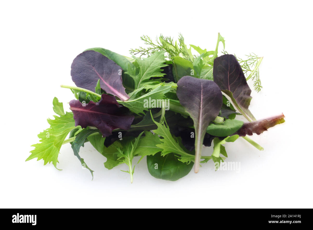 Mixed Salad Leaves Isolated On White Banque D'Images