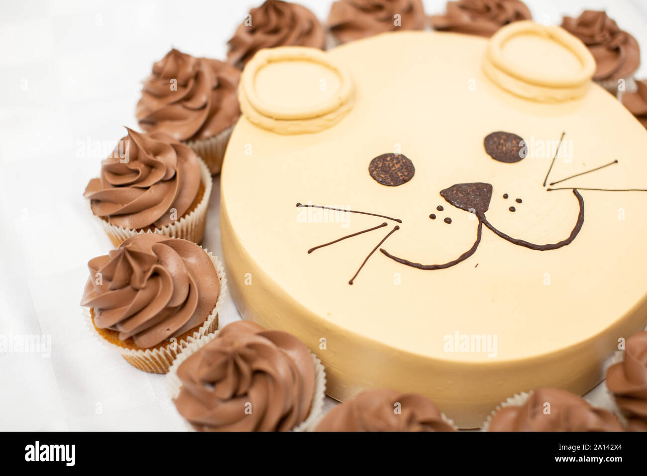 Food Lion Mane Banque D Image Et Photos Alamy
