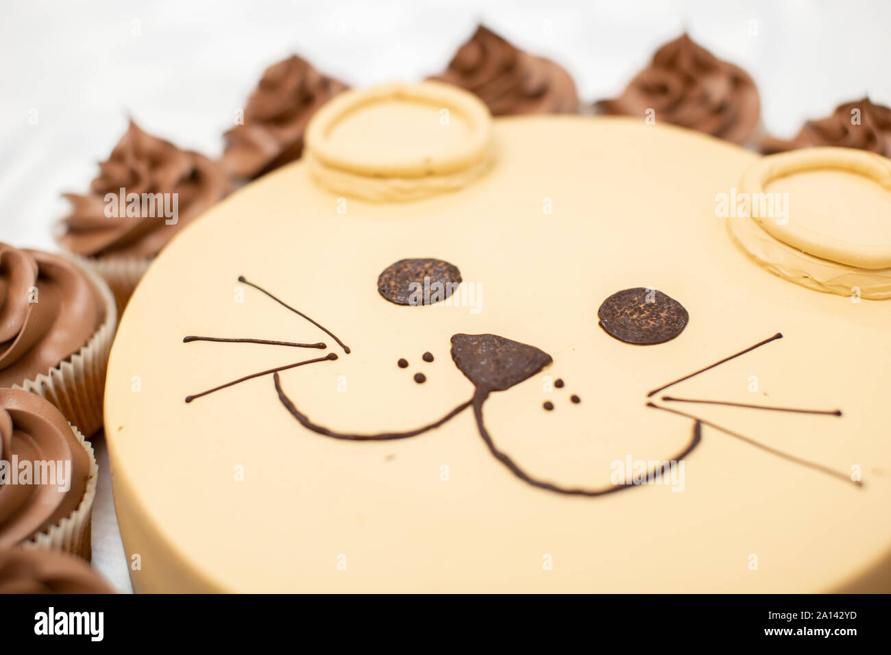 Lion Avec La Criniere Cupcake Gateau D Anniversaire De Gosse Pour L Idee Photo Stock Alamy Lion Avec La Criniere Cupcake Gateau D Anniversaire De Gosse Pour L Idee Photo Stock Alamy