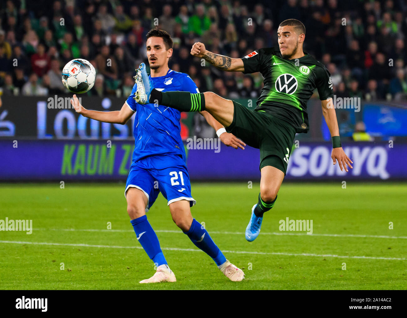 Wolfsburg, Allemagne. Sep 23, 2019. William (R) de Wolfsburg rivalise avec Benjamin Hubner d'Hoffenheim lors d'un match de Bundesliga allemande entre VfL Wolfsburg et TSG 1899 Hoffenheim à Wolfsburg, Allemagne, 23 septembre 2019. Crédit : Kevin Voigt/Xinhua Banque D'Images