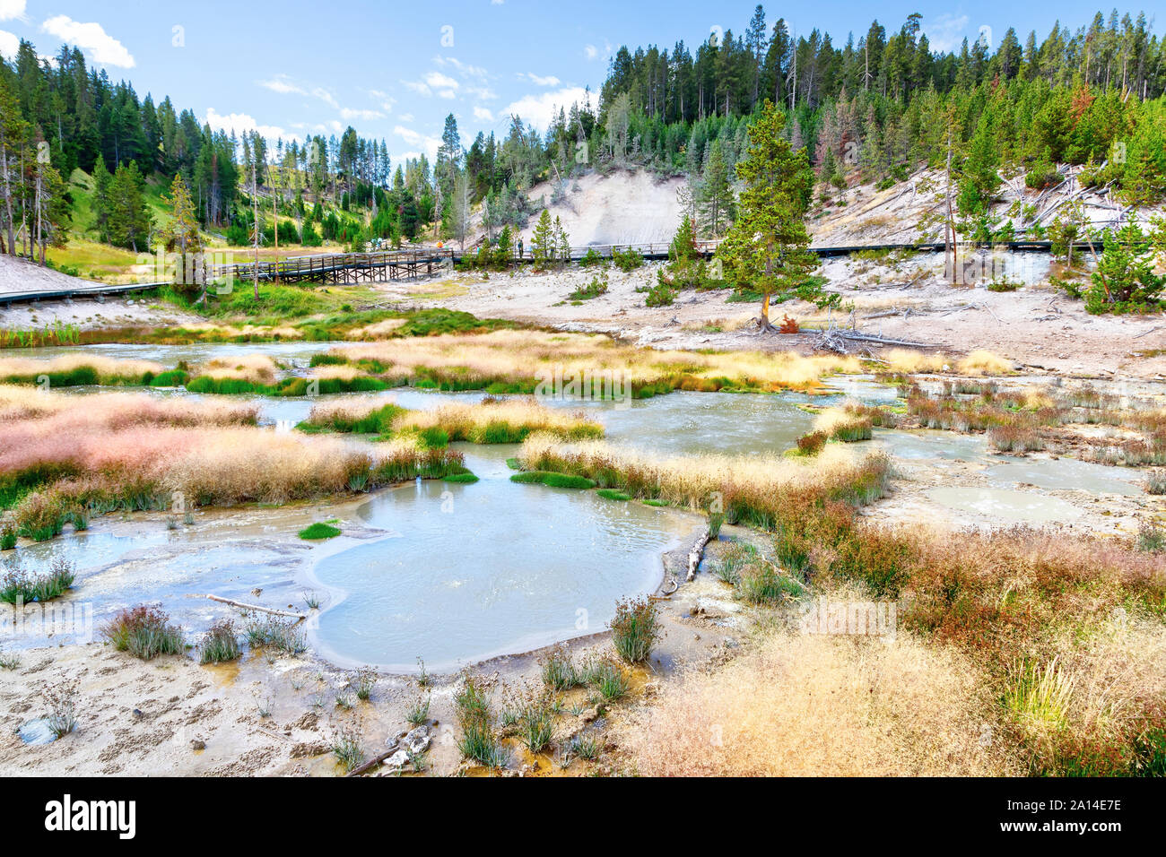 Volcan de boue dans le Parc National de Yellowstone où les odeurs de soufre âcre allusion à la bouillonnante, boueux activités hydrothermales dans la région. Banque D'Images