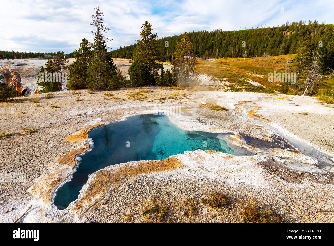 Blue Star du printemps, un célèbre belle piscine bleue dans la partie supérieure du bassin du geyser Old Faithful. dans le Parc National de Yellowstone qui éclate en de rares occasions. Banque D'Images