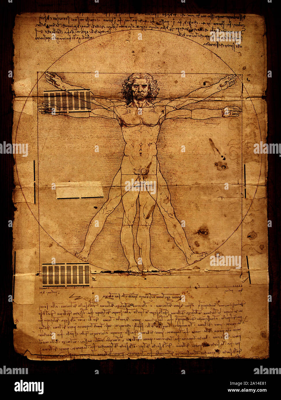 Photo de l'homme de Vitruve par Leonardo Da Vinci de 1492 sur fond texturé. Banque D'Images