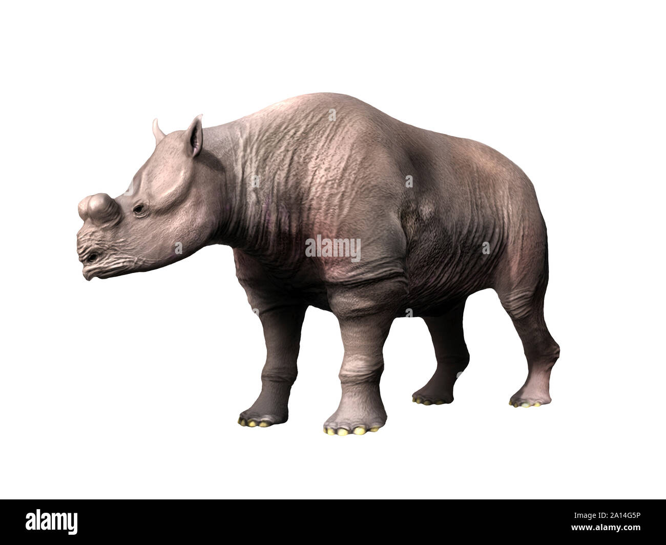 Protitanops Brontothere curryi, de l'Éocène, de Californie. Banque D'Images