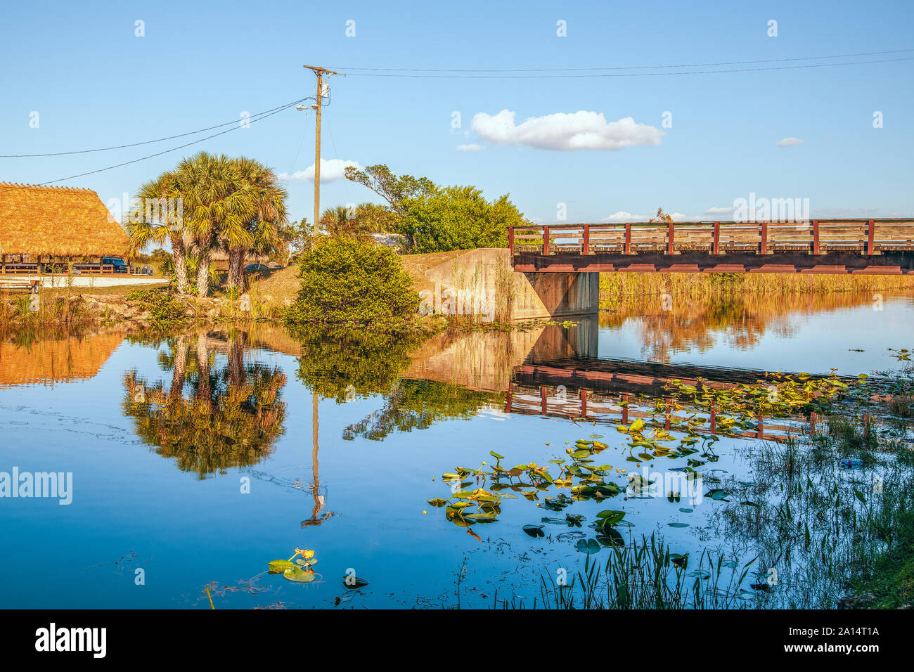 Canal Tamiami en automne. Le sud de la Floride. USA Banque D'Images