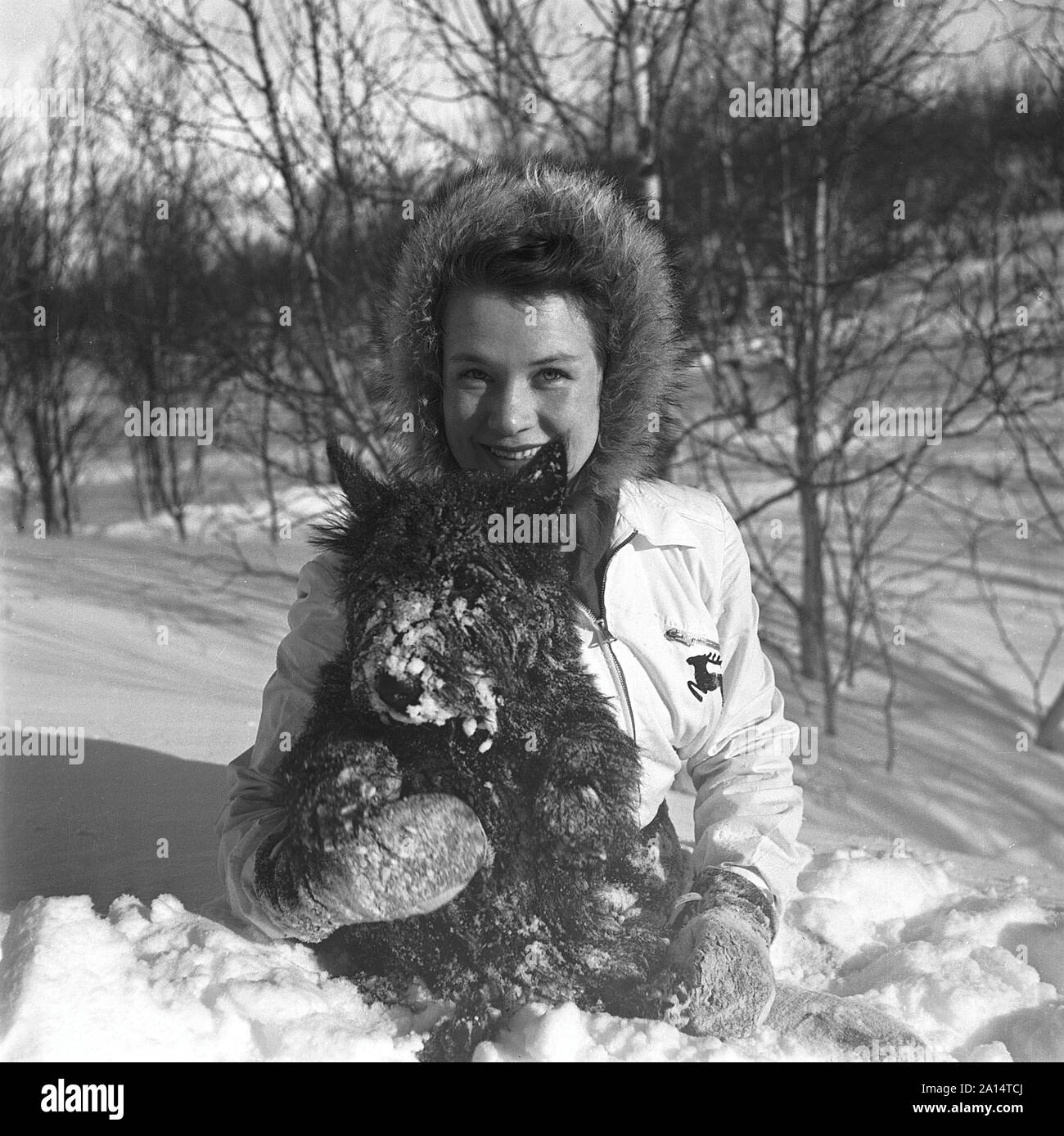 L'hiver dans les années 40. Une jeune femme dans la neige avec son chien. Suède 1943. Kristoffersson Ref D71-2 Banque D'Images