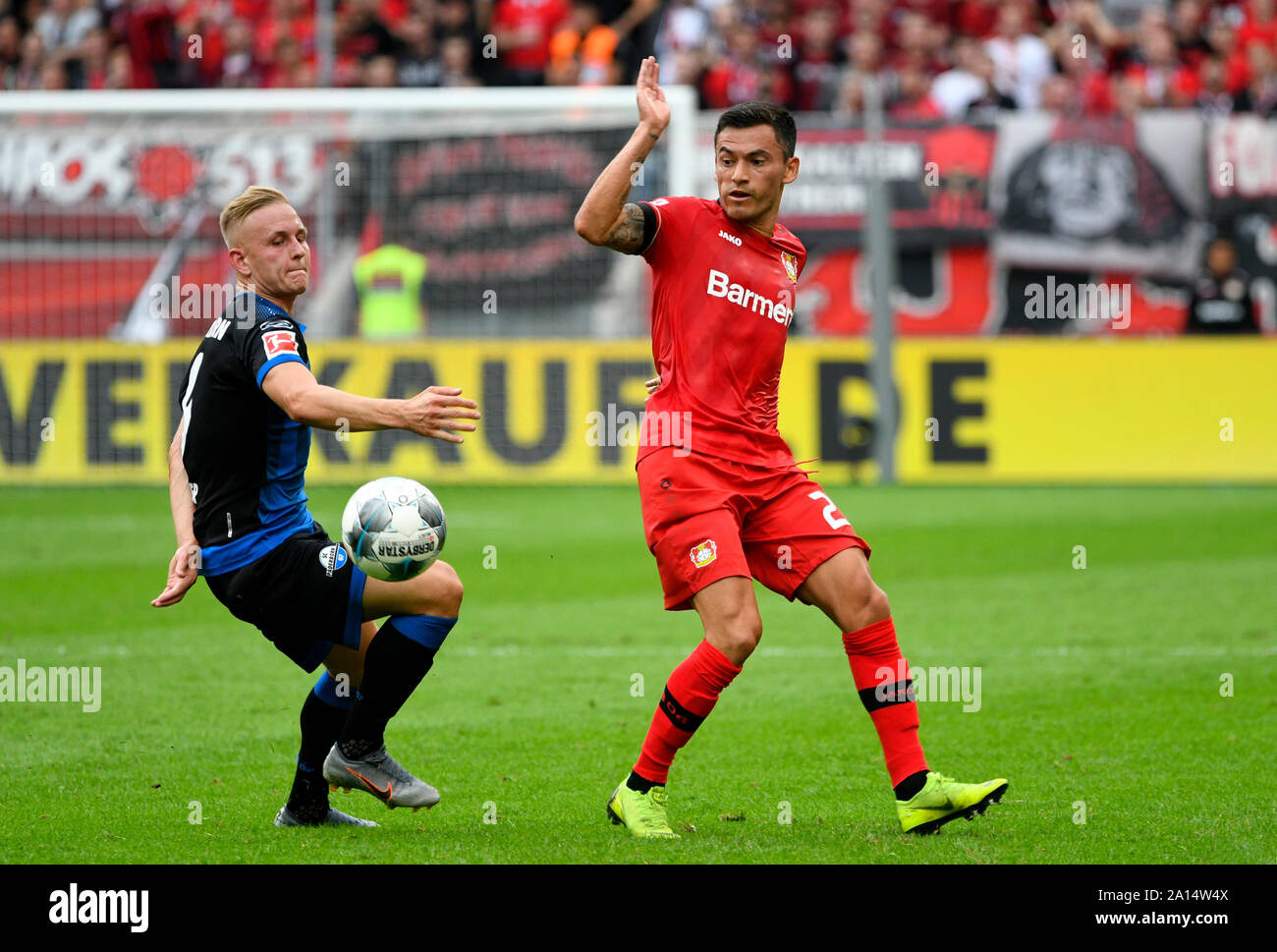 BayArena Leverkusen Allemagne, 17.8.2019, Football : Saison de Bundesliga 2019-2020 journée 1, Bayer 04 Leverkusen (LEV, rouge) vs FC Paderborn (APB, bleu), Kai Proger (PDB), Charles Aranguiz (LEV) DFL RÈGLEMENT INTERDIT TOUTE UTILISATION DES PHOTOGRAPHIES COMME DES SÉQUENCES D'IMAGES ET/OU QUASI-vidéo Banque D'Images