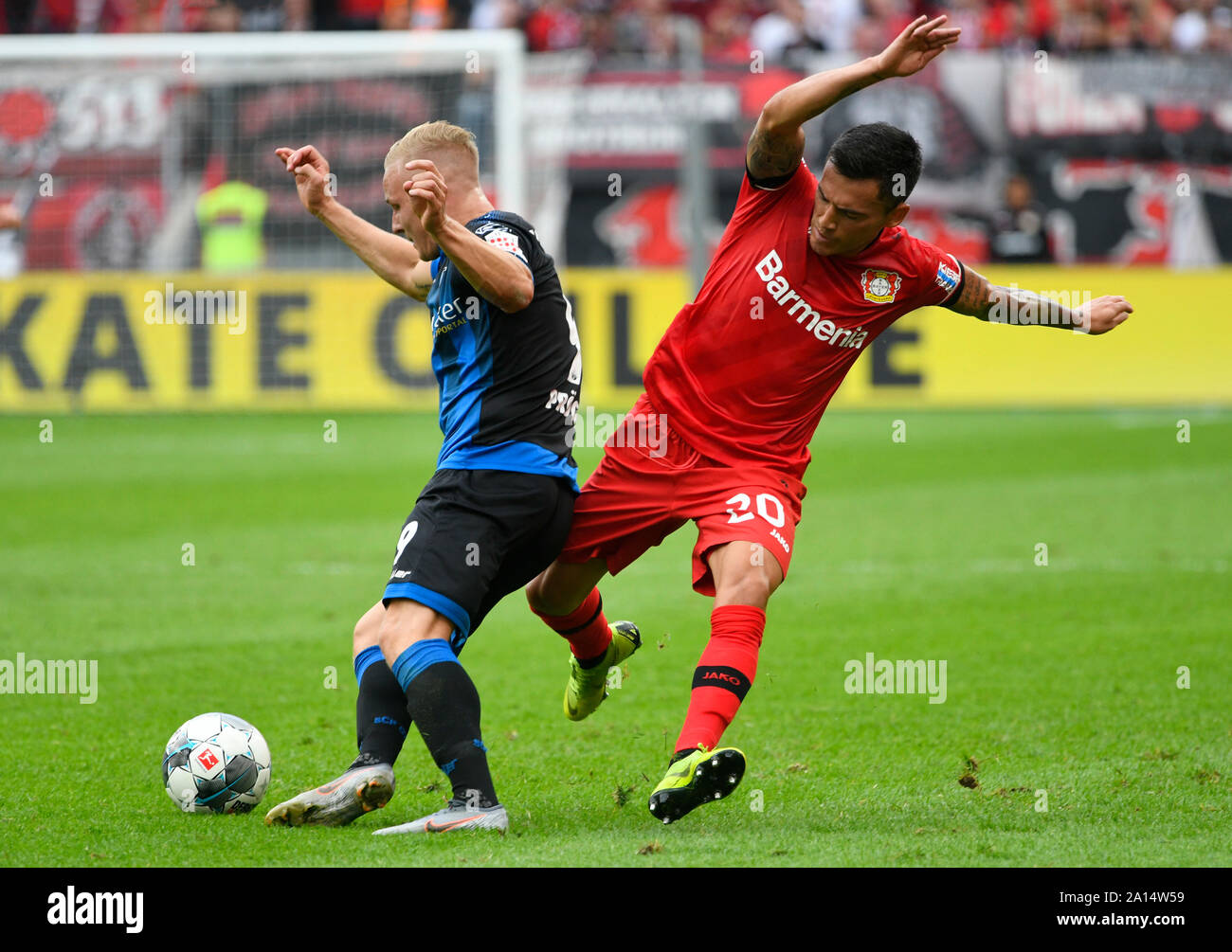 BayArena Leverkusen Allemagne, 17.8.2019, Football : Saison de Bundesliga 2019-2020 journée 1, Bayer 04 Leverkusen (LEV, rouge) vs FC Paderborn (APB, bleu), Kai Proger (PDB), Charles Aranguiz (LEV) DFL RÈGLEMENT INTERDIT TOUTE UTILISATION DES PHOTOGRAPHIES COMME DES SÉQUENCES D'IMAGES ET/OU QUASI-vidéo Banque D'Images