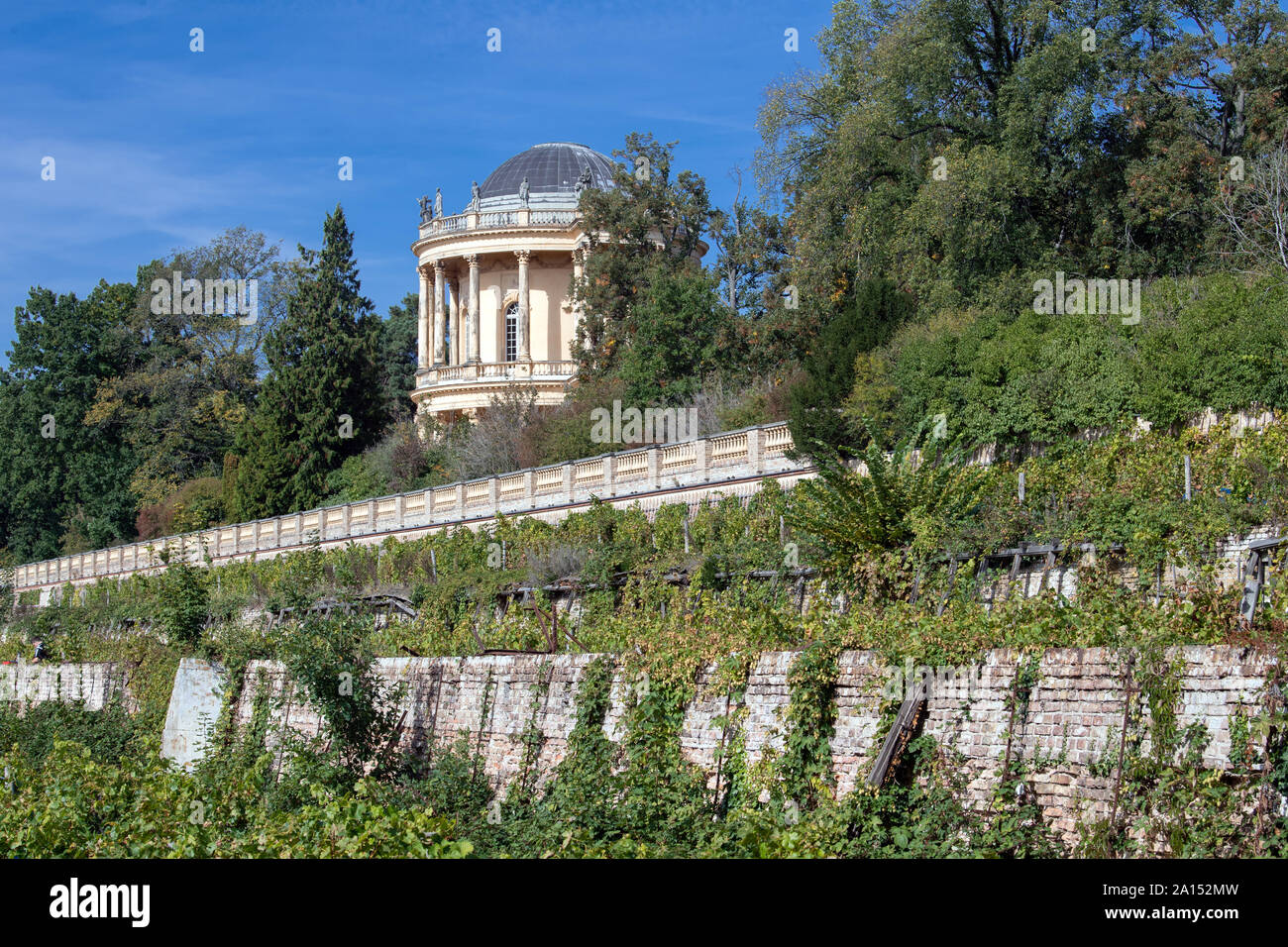 L'Allemagne. Sep 23, 2019. Position sur la vigne vigne royale sous le belvédère. Le Winzerberg appartient à la Stiftung Preußische Schlösser und Gärten Berlin-Brandenburg (Palais et jardins prussiens de Berlin-brandebourg Fondation), est maintenue par un sponsoring association et a fait partie du patrimoine mondial culturel de Potsdam depuis 1990. Credit : Soeren Stache/dpa-Zentralbild/dpa/Alamy Live News Banque D'Images