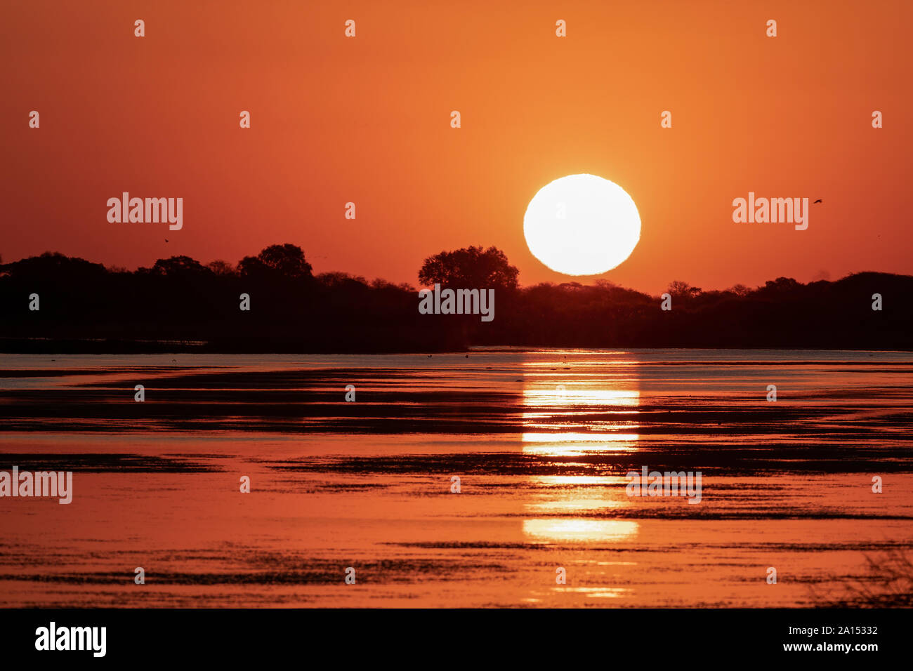 Rivière Boteti au coucher du soleil Banque D'Images