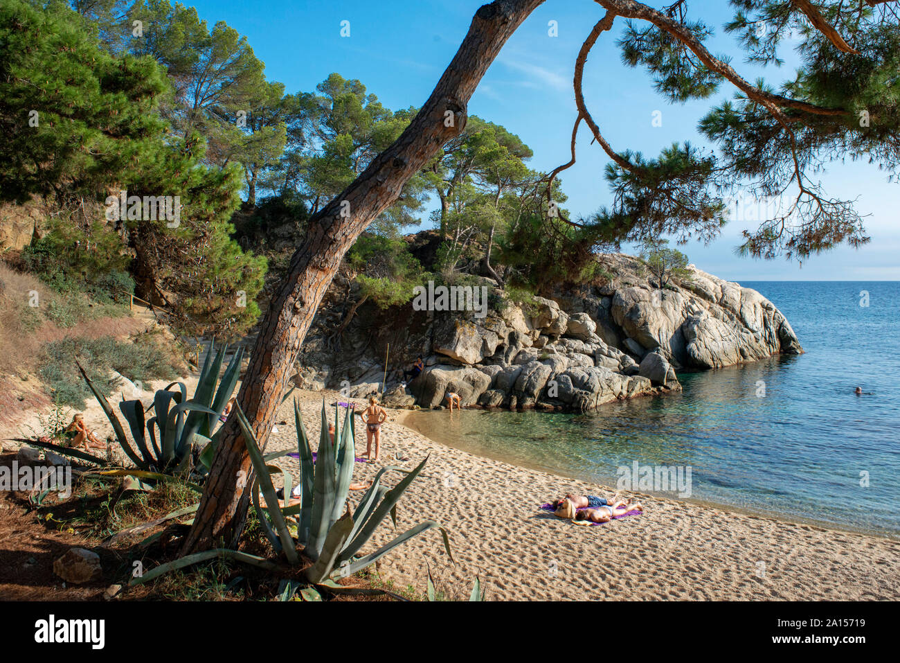 Platja d'Aro. Cala del Pi plage de Costa Brava. Cami de Ronda. Province de Gérone. La Catalogne. Espagne Banque D'Images