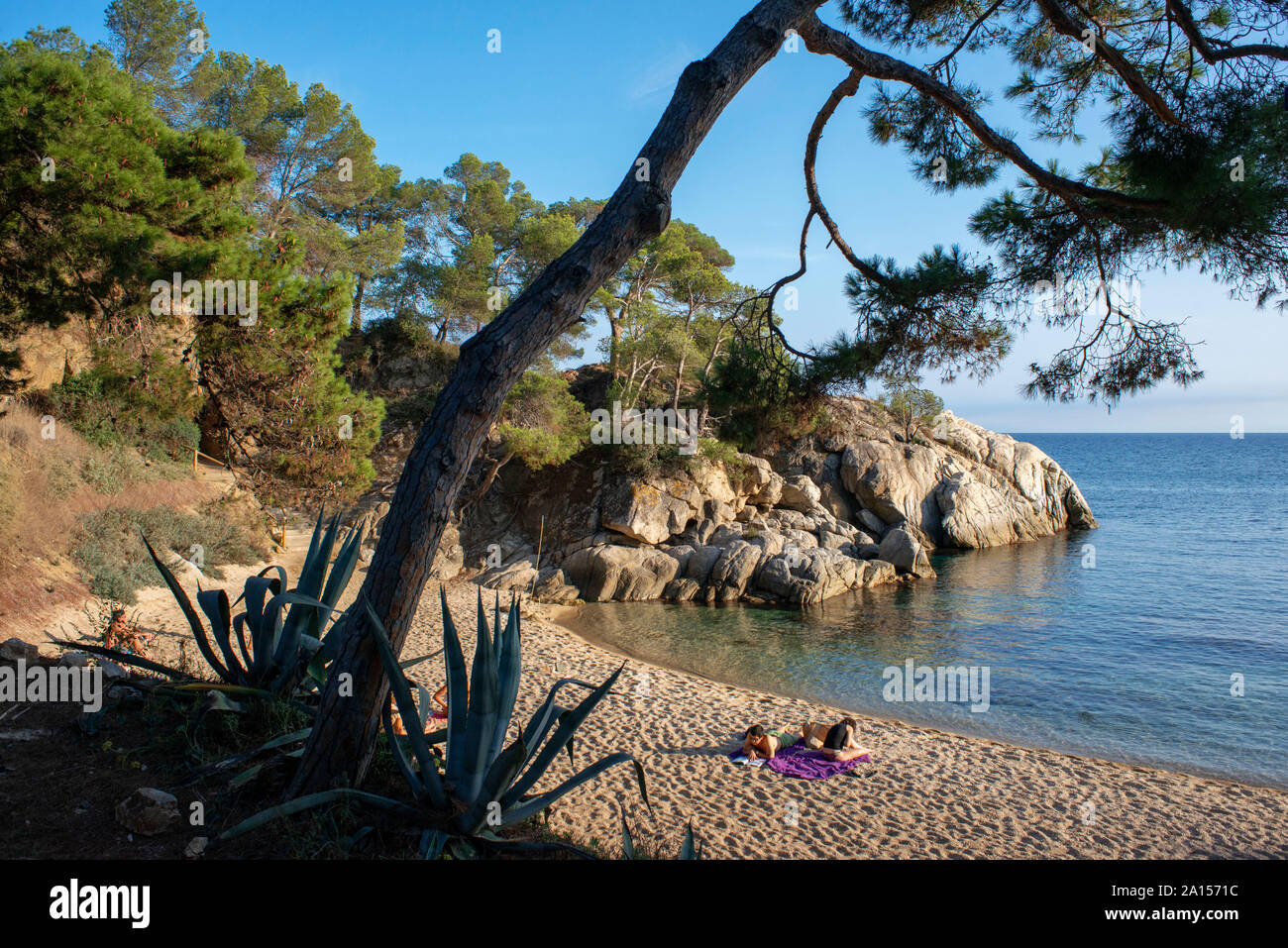 Platja d'Aro. Cala del Pi plage de Costa Brava. Cami de Ronda. Province de Gérone. La Catalogne. Espagne Banque D'Images
