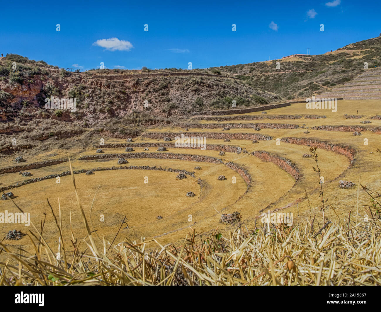 Moray, Incas champs expérimentaux dans les Andes péruviennes à Cuzco, Pérou. L'Amérique du Sud. Banque D'Images