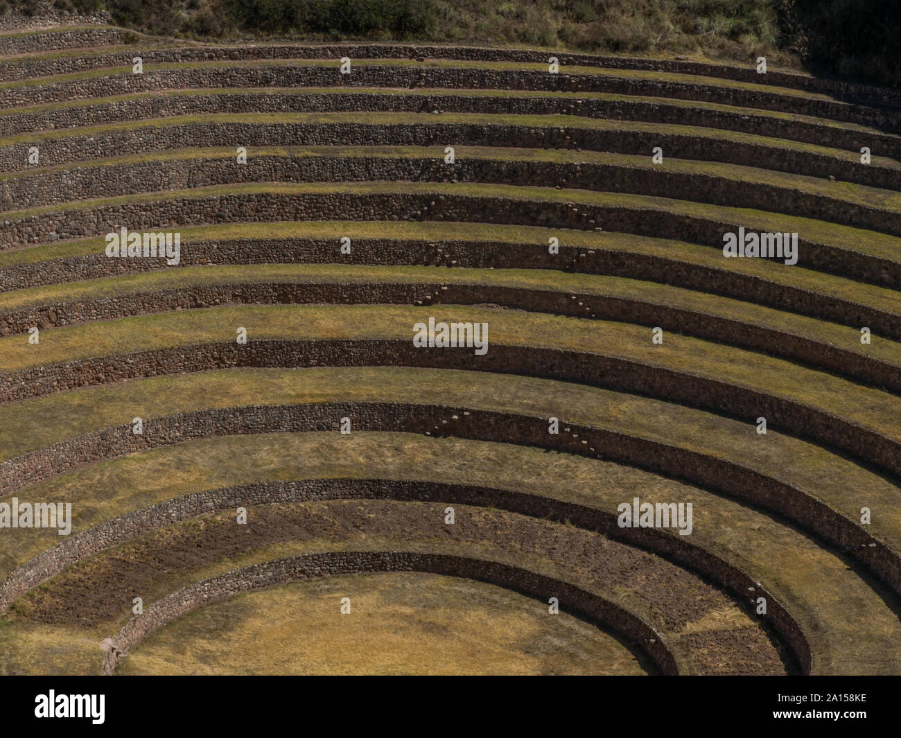 Moray, Incas champs expérimentaux dans les Andes péruviennes à Cuzco, Pérou. L'Amérique du Sud. Banque D'Images