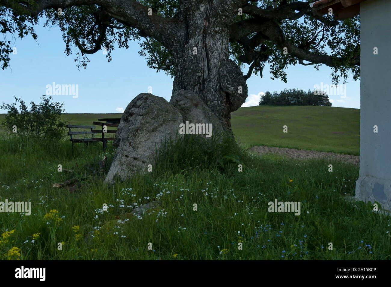Le christianisme chapelle saint Kiprian à Plana Mountain Bulgarie Banque D'Images