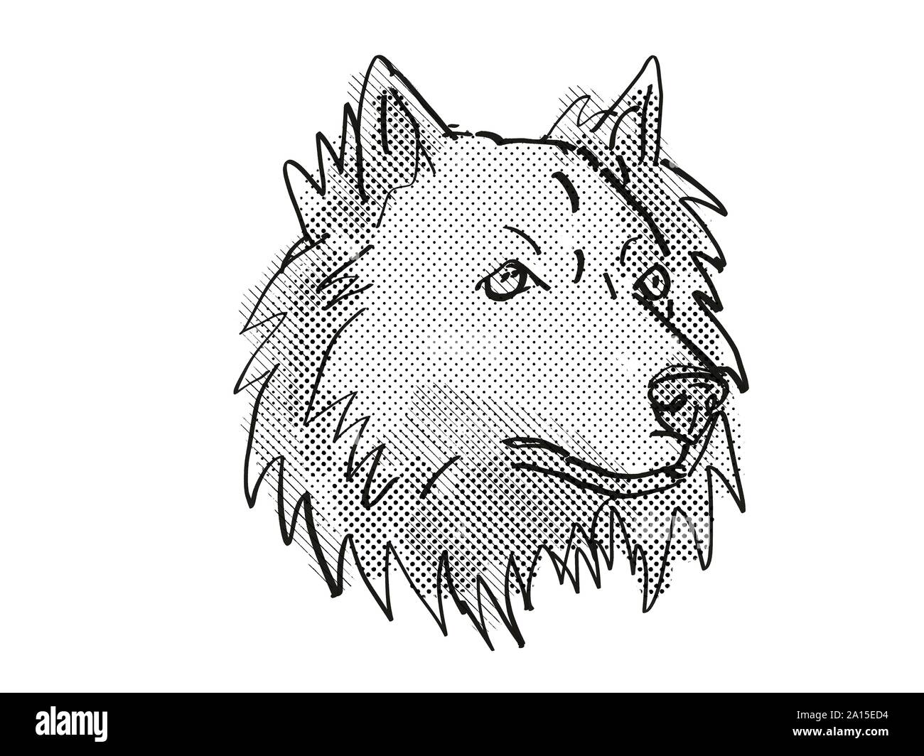 Retro cartoon style dessin de tête d'un Chusky mixed breed dog, un croisement entre le chow chow chien husky de Sibérie et isolé sur fond blanc don Banque D'Images