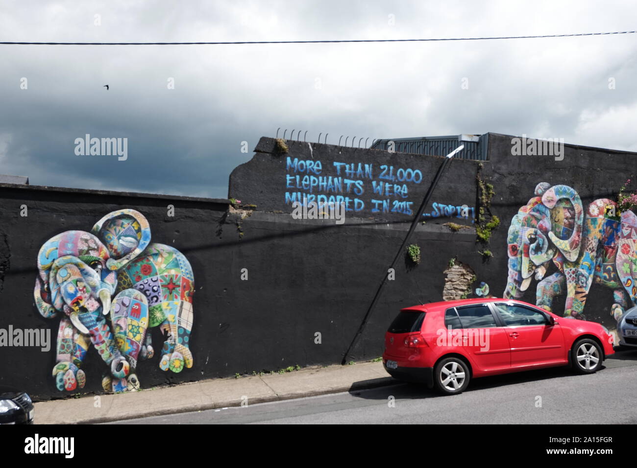 Street Art des éléphants sur mur dans la ville de Waterford, Irlande Banque D'Images