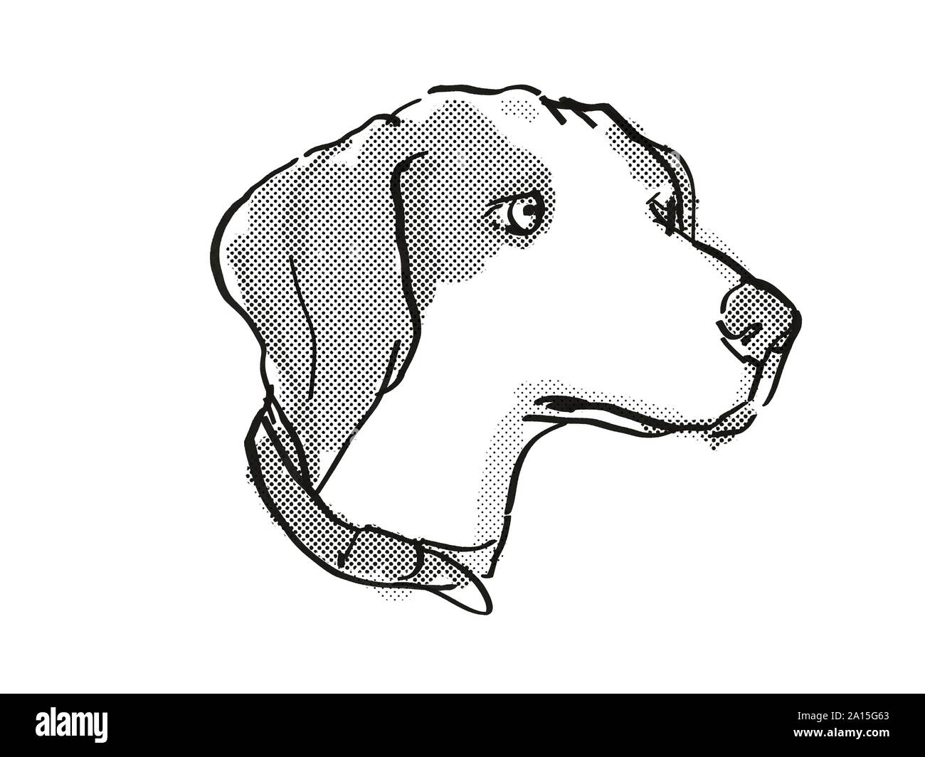 Retro Cartoon Style Dessin De Tête Dun Beagle Un Chien