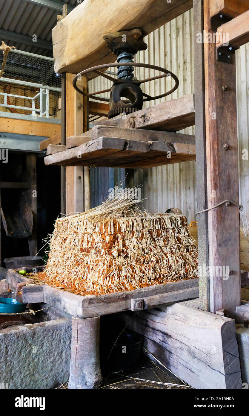 Un pressoir à cidre traditionnel du xixe siècle à utiliser avec un fromage de paille - John Gollop Banque D'Images