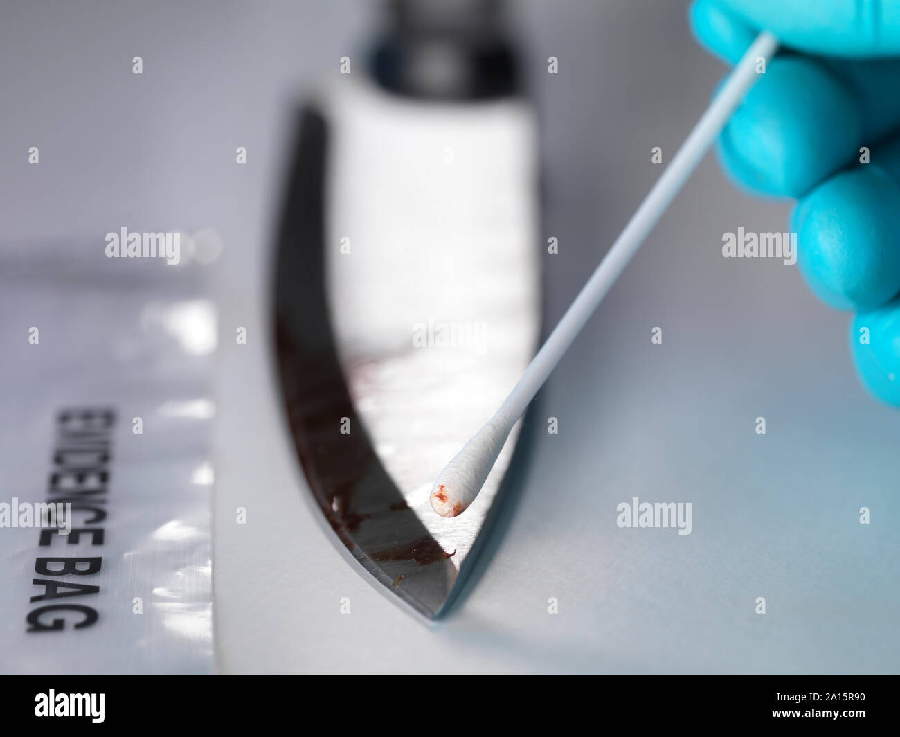 Médecin légiste en tenant l'évidence d'ADN à partir d'un couteau taché de sang Banque D'Images