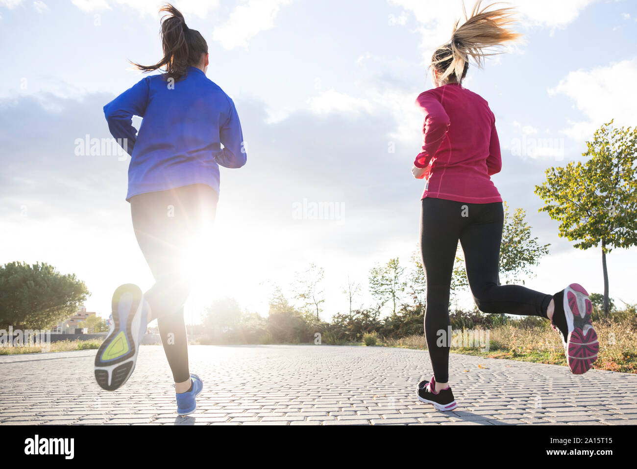 Vue arrière de la femme en marche ensemble dans un parc, contre le soleil du matin Banque D'Images