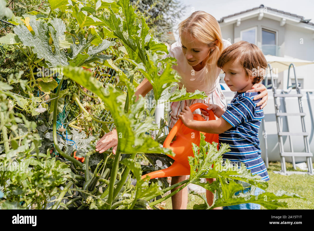 Mère et fils watering plants in garden Banque D'Images