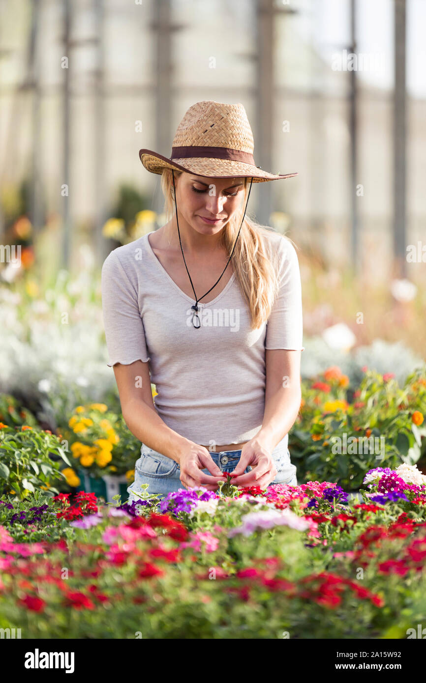 Belle jeune femme prendre soin des fleurs dans la serre Banque D'Images