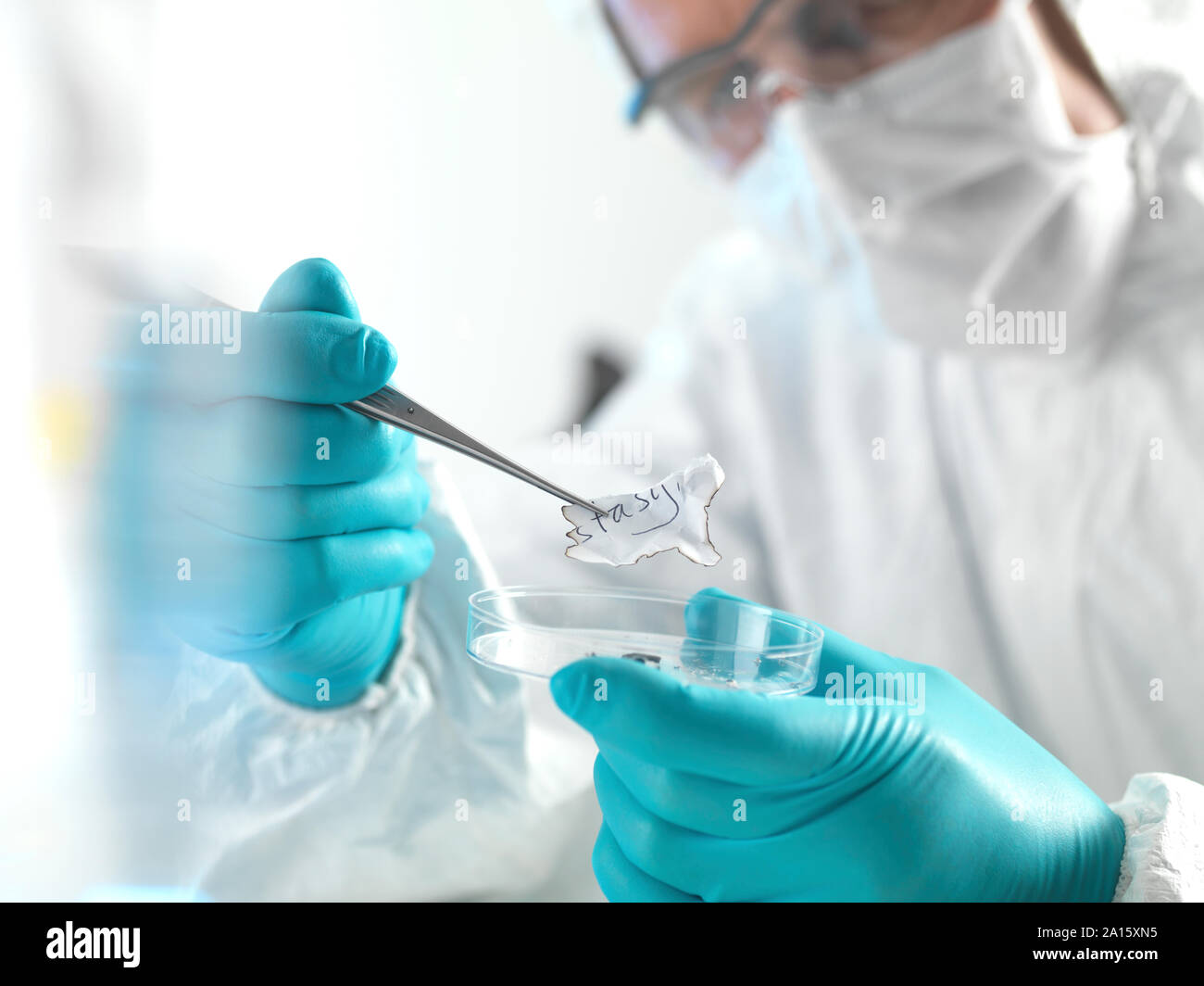 Forensic scientist examining des fragments de papier dans un laboratoire Banque D'Images