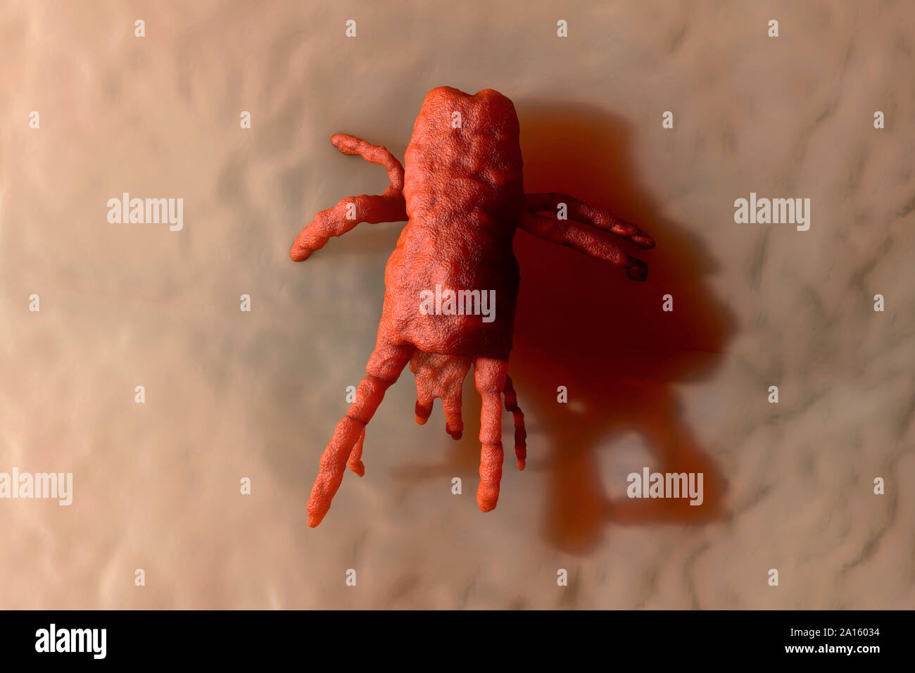 Illustration en rendu 3D Visualisation des acariens sur la peau d'orange Banque D'Images