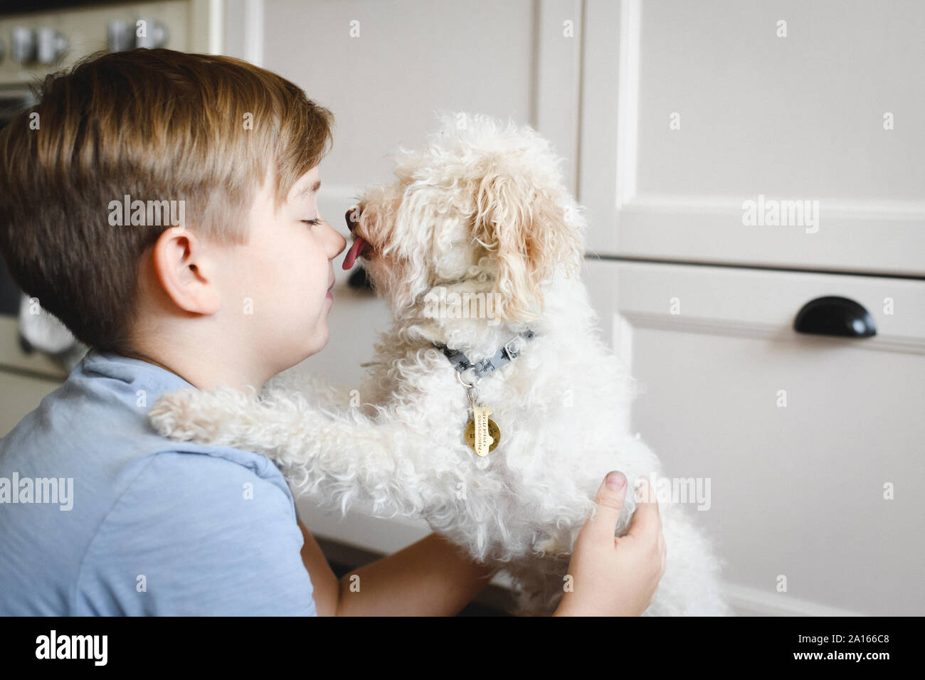 Garçon jouant avec son chien à la maison Banque D'Images