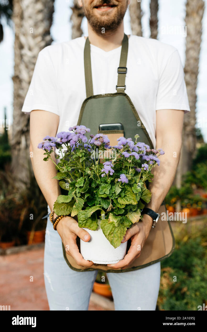 Close-up d'un travailleur dans un centre jardin tenant une plante de lilas Banque D'Images