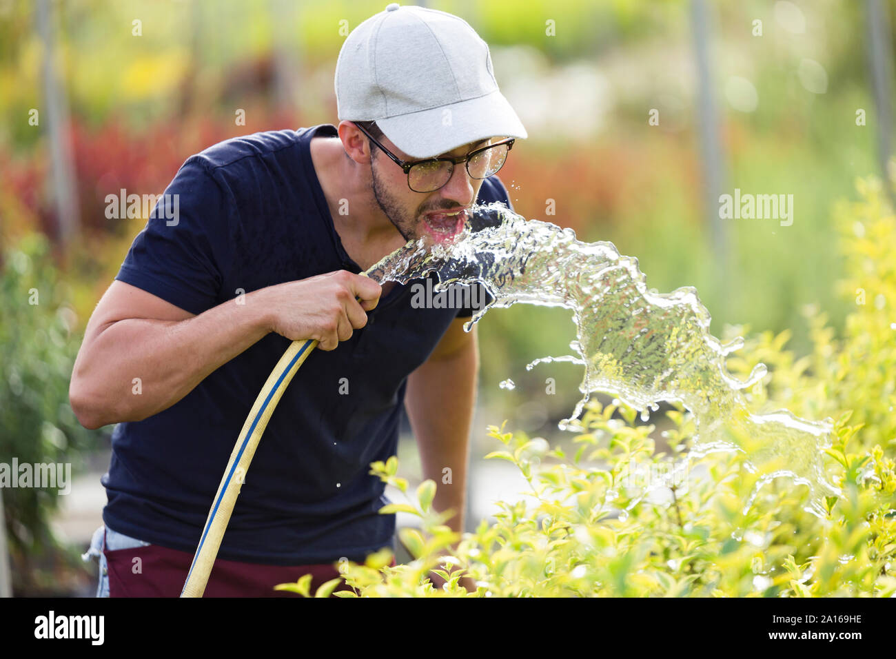 Jeune homme de l'eau potable dans le flexible de Greenhous Banque D'Images