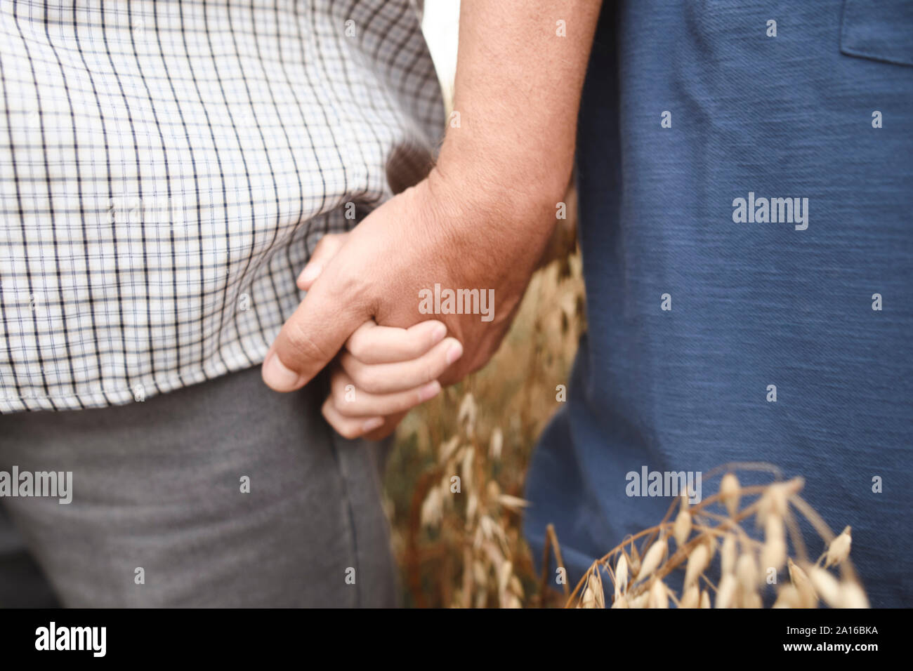 Petit-fils de grand-père tenant la main, close-up Banque D'Images