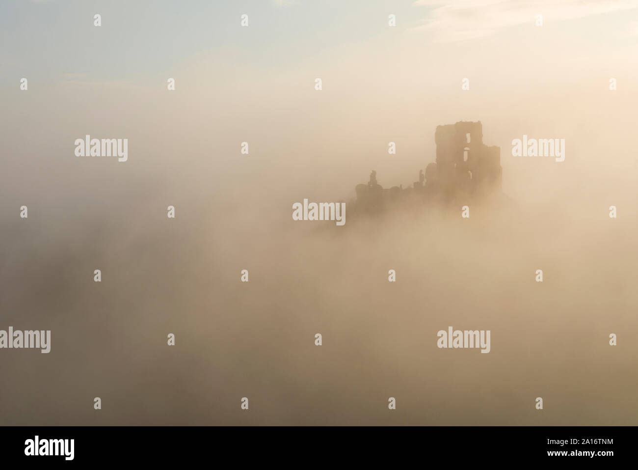Château de Corfe lors de la brume au lever du soleil,Corfe, Dorset, UK Banque D'Images