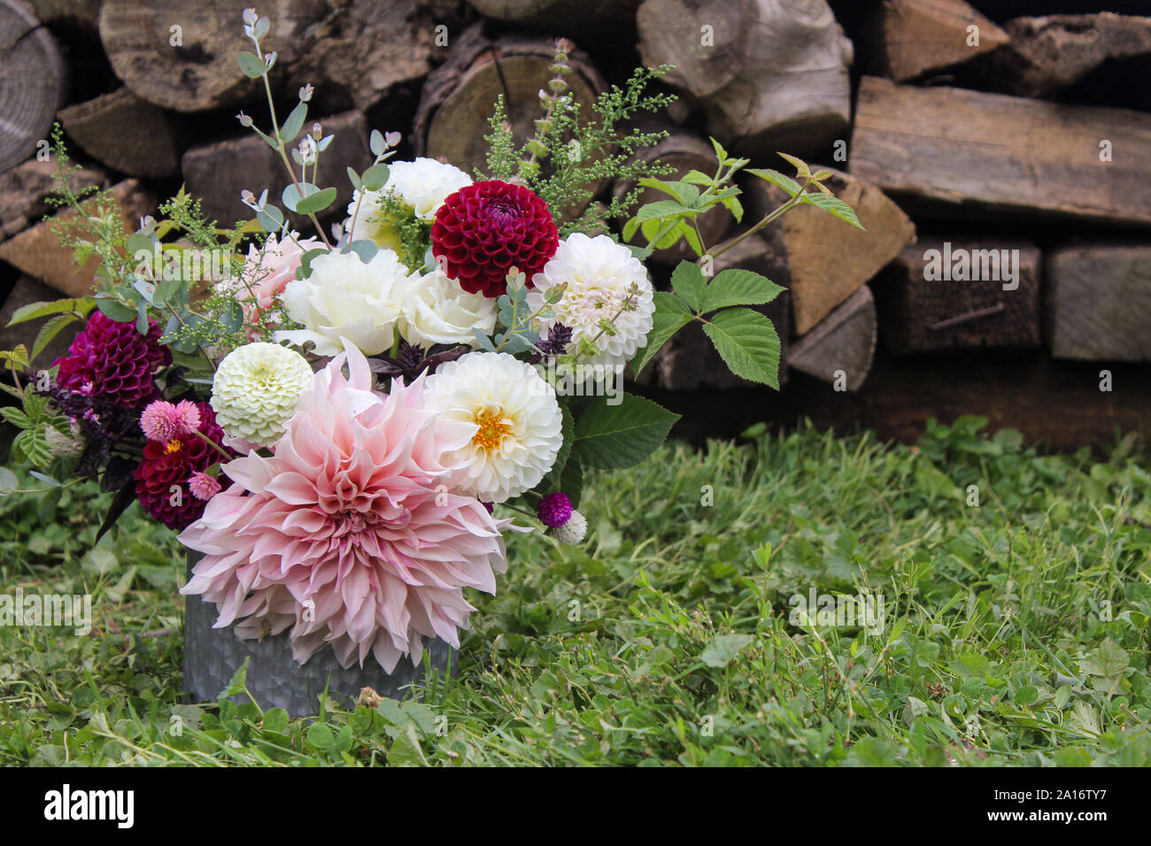 Bouquet de fleurs de dahlias, Zinnias En dehors en face de pile de bois Banque D'Images