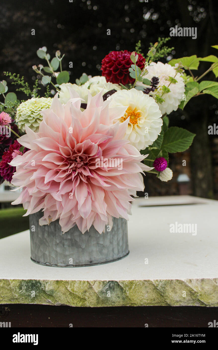 Bouquet de fleurs avec des dahlias, Zinnias, Eucalyptus, Blackberry et Globe Amarante Banque D'Images