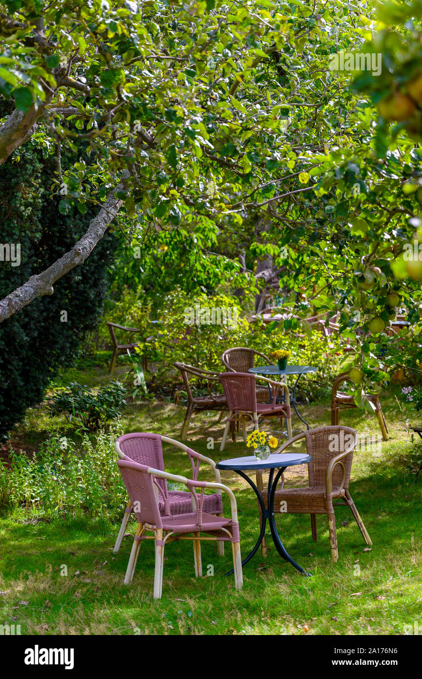 Un petit salon confortable faite de chaises en osier et de tables dans un verger romantique (format portrait). Banque D'Images