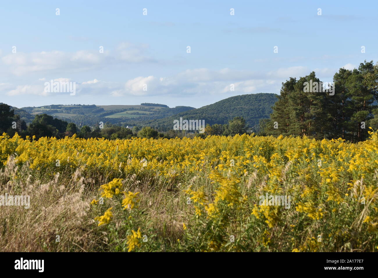 Les zones de montagne pittoresque au centre de l'État de New York, autour de la région des lacs Finger -02 Banque D'Images