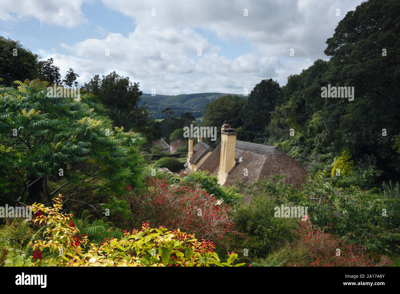 Chaumières dans Selworthy Village. Parc National d'Exmoor. Le Somerset. UK. Banque D'Images