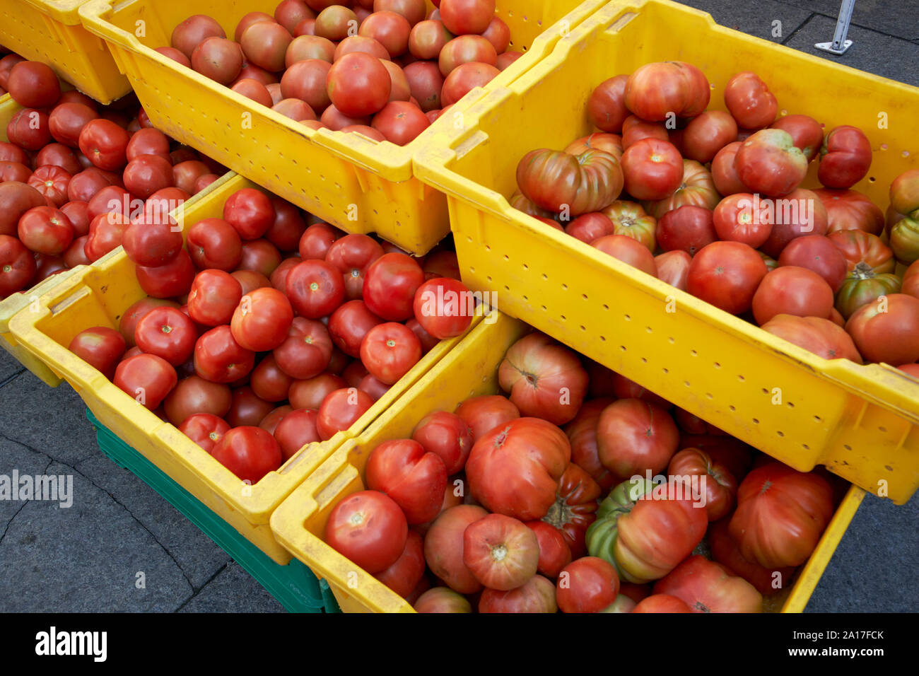 Tomates boeuf au marché des producteurs de produits frais Chicago Chicago Illinois Etats-Unis d'Amérique Banque D'Images