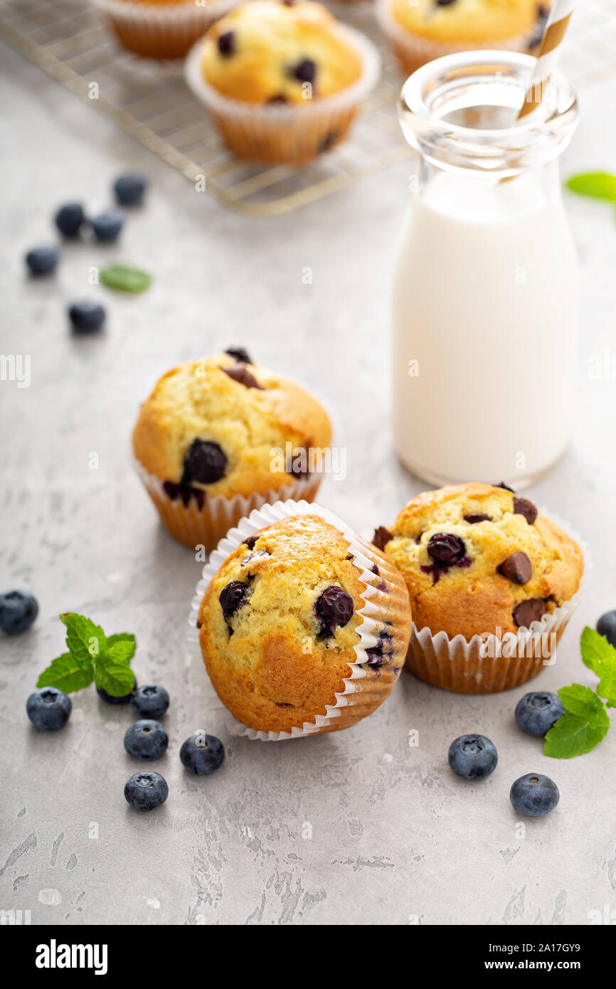 Muffins aux bleuets et aux copeaux de chocolat au lait Banque D'Images