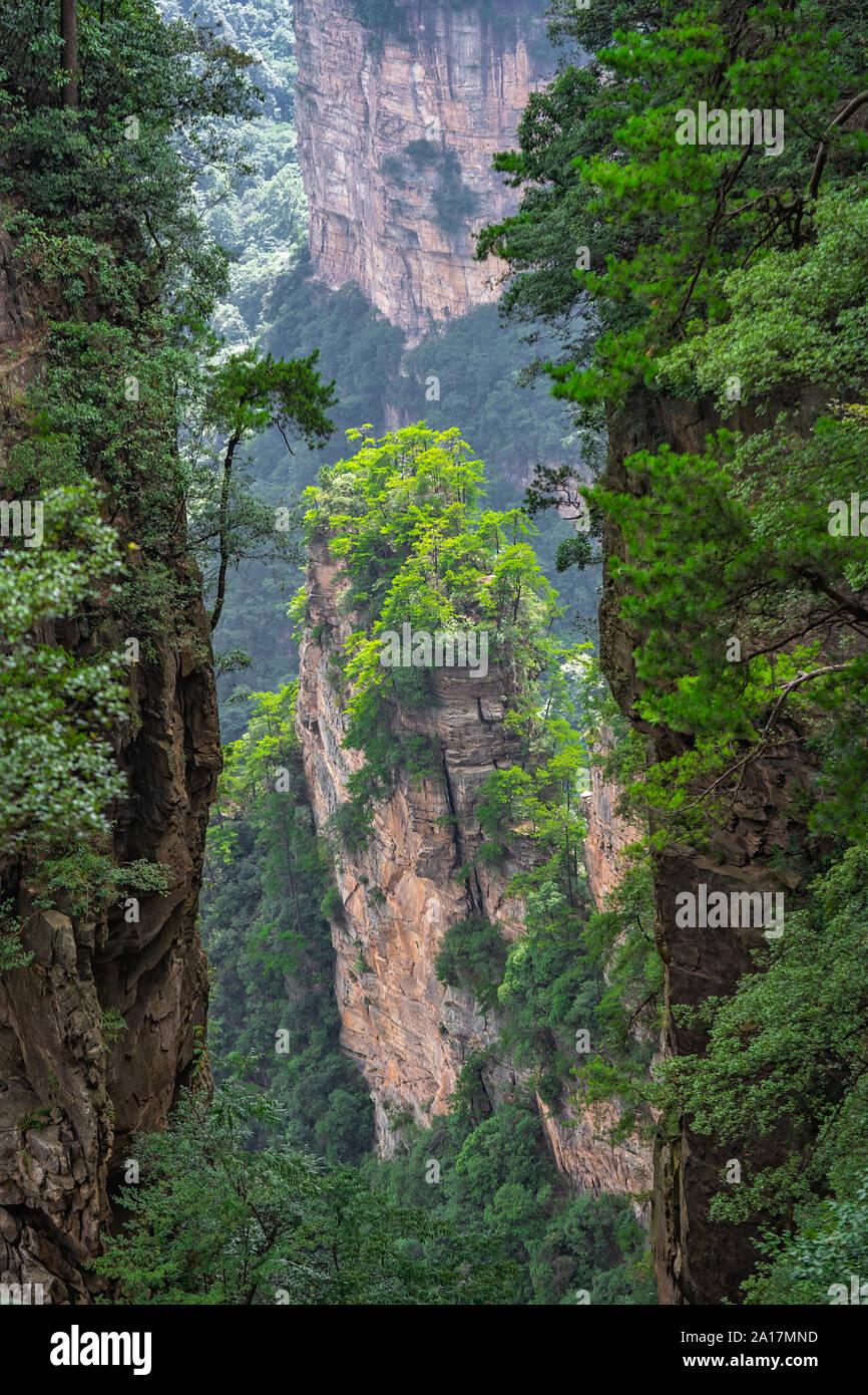 Pilier ciel Alléluia dans la montagne Tianzi mountain range, Avatar montagnes nature park, Zhangjiajie, Chine Banque D'Images